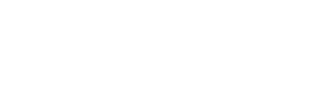 pv_logo_white